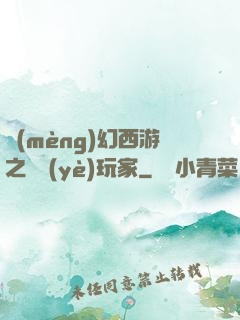 夢(mèng)幻西游之職業(yè)玩家