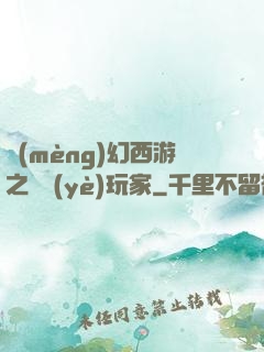 夢(mèng)幻西游之職業(yè)玩家