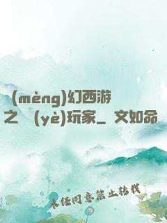 夢(mèng)幻西游之職業(yè)玩家
