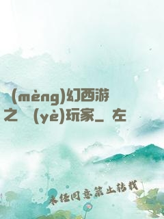 夢(mèng)幻西游之職業(yè)玩家