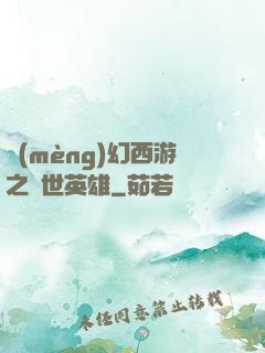 夢(mèng)幻西游之蓋世英雄
