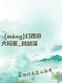 夢(mèng)幻西游大玩家