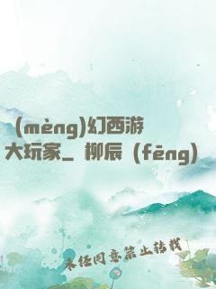 夢(mèng)幻西游大玩家