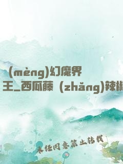 夢(mèng)幻魔界王
