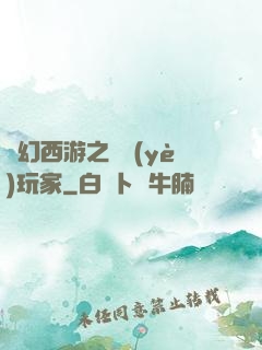 夢幻西游之職業(yè)玩家