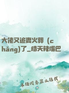 大佬又追妻火葬場(chǎng)了
