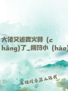 大佬又追妻火葬場(chǎng)了