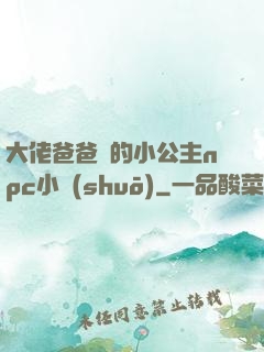 大佬爸爸們的小公主npc小說(shuō)