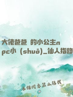 大佬爸爸們的小公主npc小說(shuō)