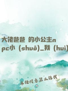 大佬爸爸們的小公主npc小說(shuō)