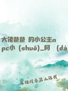 大佬爸爸們的小公主npc小說(shuō)