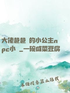 大佬爸爸們的小公主npc小說