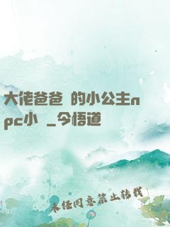 大佬爸爸們的小公主npc小說