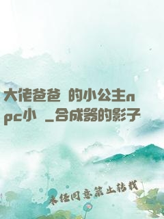 大佬爸爸們的小公主npc小說