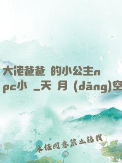 大佬爸爸們的小公主npc小說