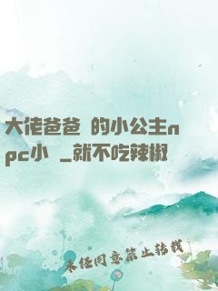 大佬爸爸們的小公主npc小說