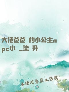 大佬爸爸們的小公主npc小說
