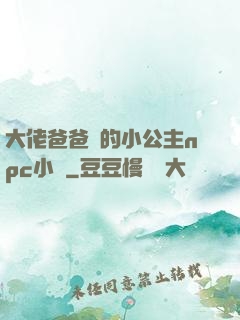 大佬爸爸們的小公主npc小說