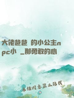 大佬爸爸們的小公主npc小說