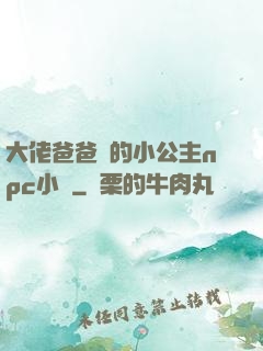 大佬爸爸們的小公主npc小說
