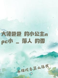 大佬爸爸們的小公主npc小說
