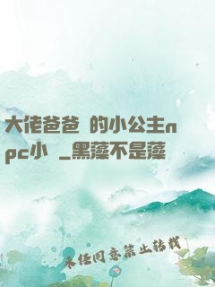 大佬爸爸們的小公主npc小說