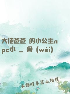 大佬爸爸們的小公主npc小說