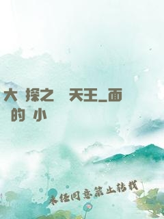 大偵探之娛樂天王