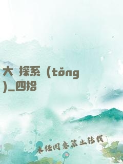 大偵探系統(tǒng)
