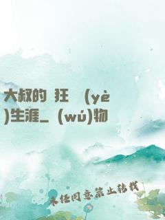 大叔的瘋狂職業(yè)生涯