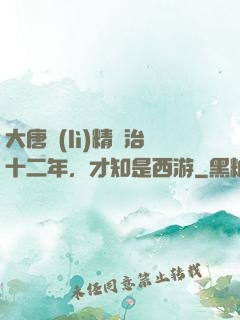 大唐勵(lì)精圖治十二年，才知是西游