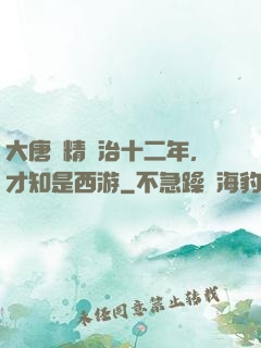 大唐勵精圖治十二年，才知是西游