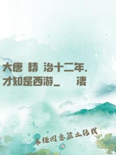 大唐勵精圖治十二年，才知是西游