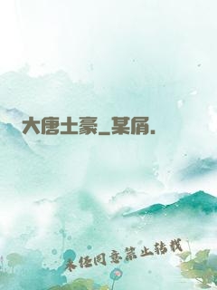 大唐土豪