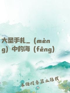 大圣手札