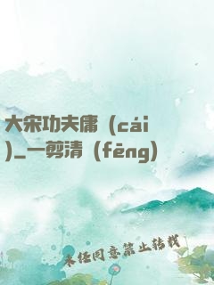 大宋功夫庸財(cái)