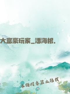 大富豪玩家