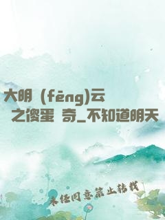 大明風(fēng)云錄之傻蛋傳奇
