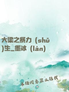 大梁之暴力書(shū)生