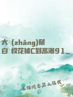 大長(zhǎng)腿白絲?；ū籆到高潮91