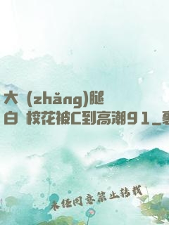 大長(zhǎng)腿白絲?；ū籆到高潮91