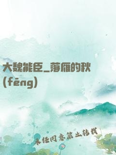 大魏能臣