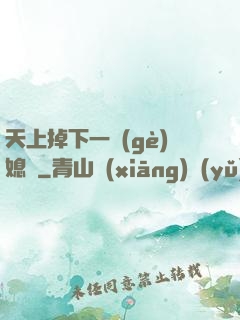 天上掉下一個(gè)媳婦