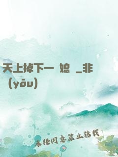 天上掉下一個媳婦