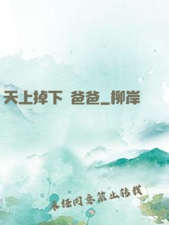 天上掉下個爸爸