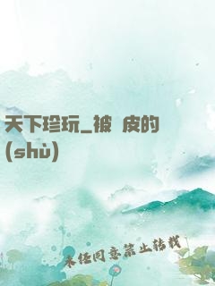 天下珍玩