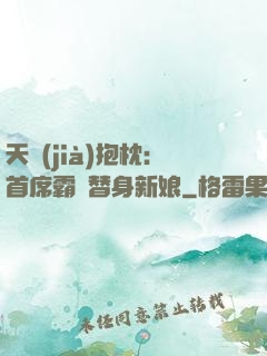 天價(jià)抱枕：首席霸寵替身新娘