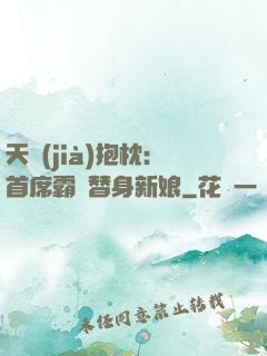 天價(jià)抱枕：首席霸寵替身新娘