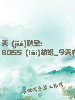 天價(jià)聘金：BOSS來(lái)劫婚