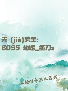 天價(jià)聘金：BOSS來劫婚